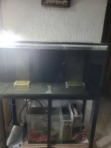 Aquário
