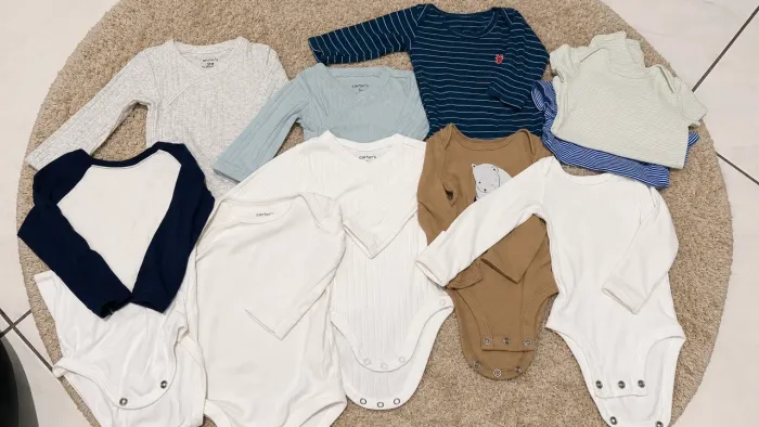 Boddy carters 