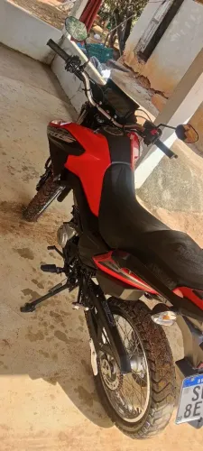 Bros 2024/2025