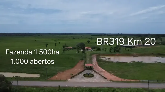Excelente Fazenda com 1.500ha no Km 20 da BR319 no Careiro. Incríveis 1.000ha abertos