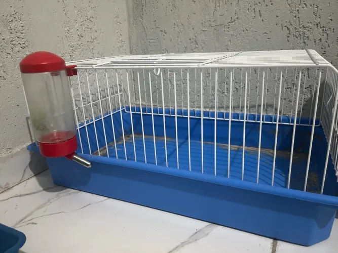 Gaiola de criação