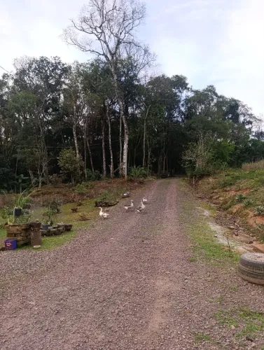 CHÁCARA ESCRITURADA, SAPIRANGA,RS
