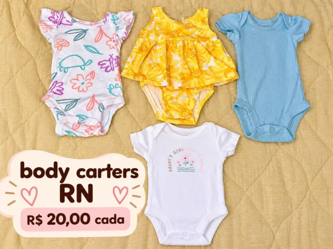 Lote roupa Carters RN