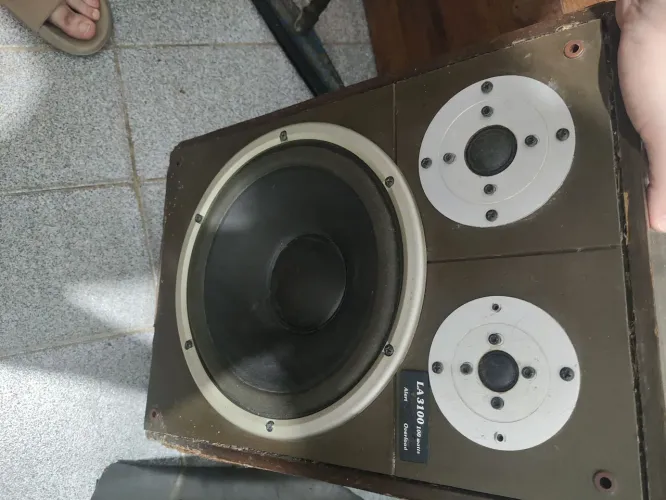 Caixa acústica Lando 3100