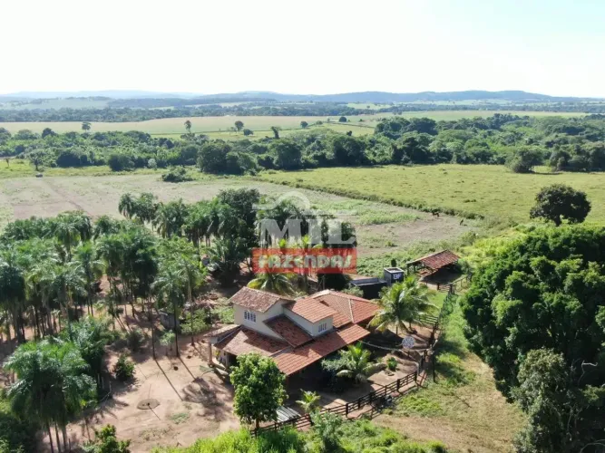 Chacara 3,7 alqueires (17,9 hectares) Edealina - Go