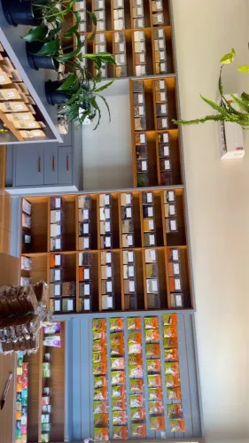 Móveis Comerciais Completos para Qualquer Tipo de Loja + Loja de Produtos Naturais