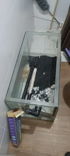Aquário
