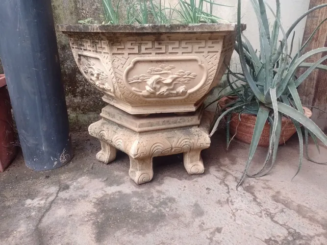 Vasos de planta de cimento