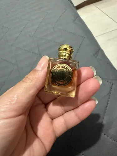 Perfume burberry novo