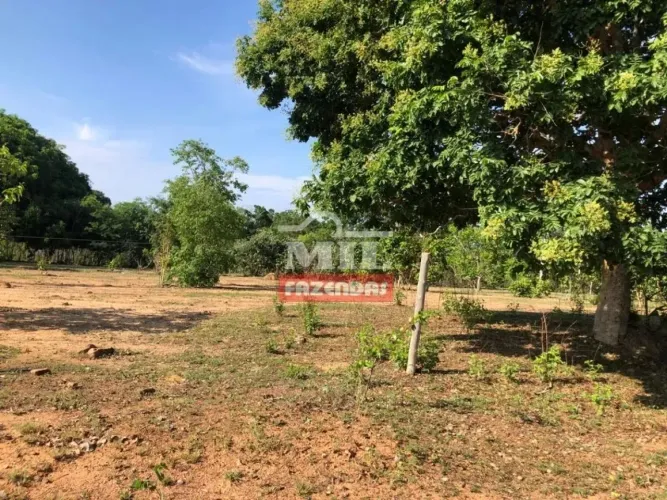 Fazenda 250 alqueires (1.210 hectares) Trombas - Go
