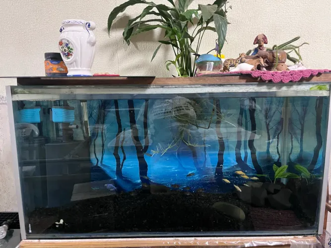 Aquário 200l