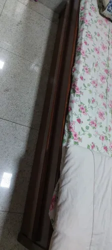 Solteiro