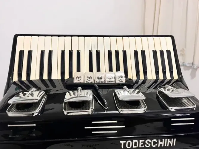 Acordeon 120 Baixos