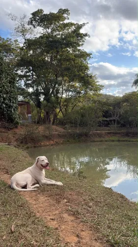 Chácara em Novo Gama estrutura