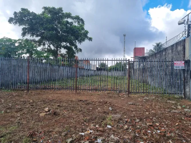Terreno Morada das Palmeiras