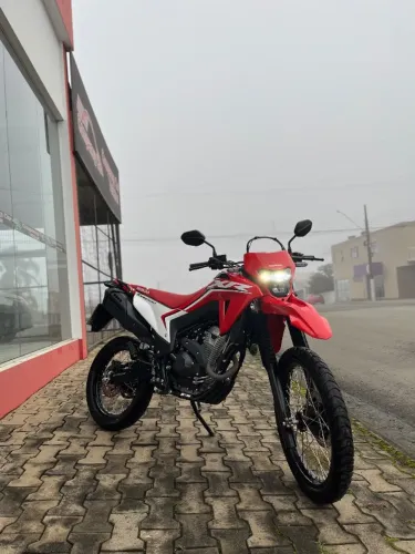 Honda xr 300L tornado flex