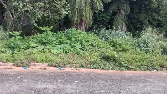 Terreno Urbano 360m² | Vila Residencial de Minaçu |Localização Nobre e Infraestrutura Comp