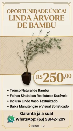 Linda Planta Arvore de Bambu com Vaso