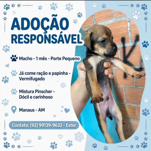 Doação responsável