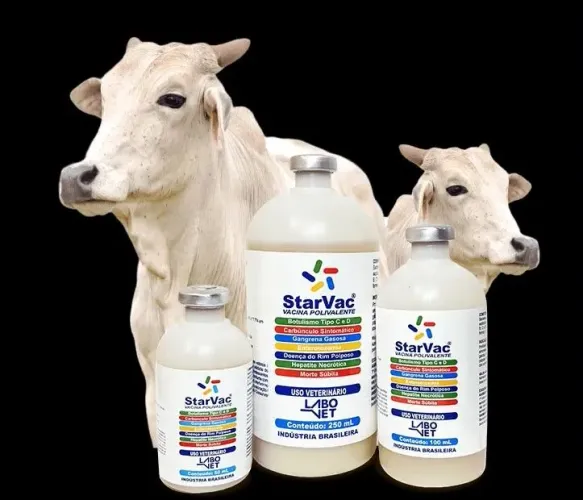 Vacina starvac 100 ml
