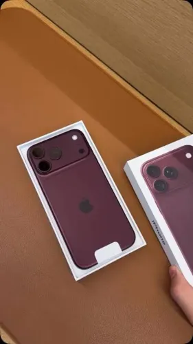 18 pro Max bordo