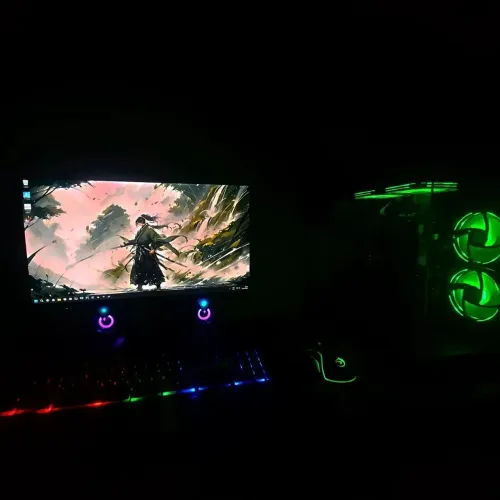 PC gamer