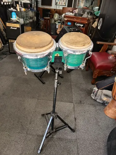 Bongo Bauer