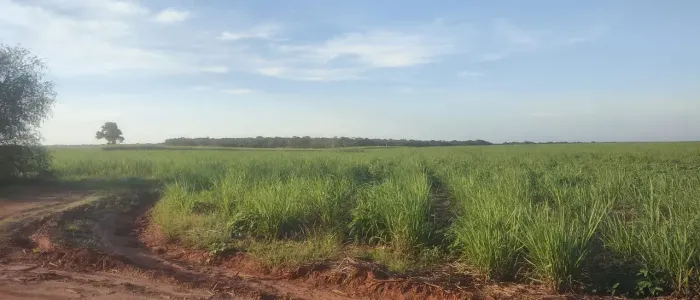 fazenda com 565 hectares na região Canguaretama área riquíssima em água