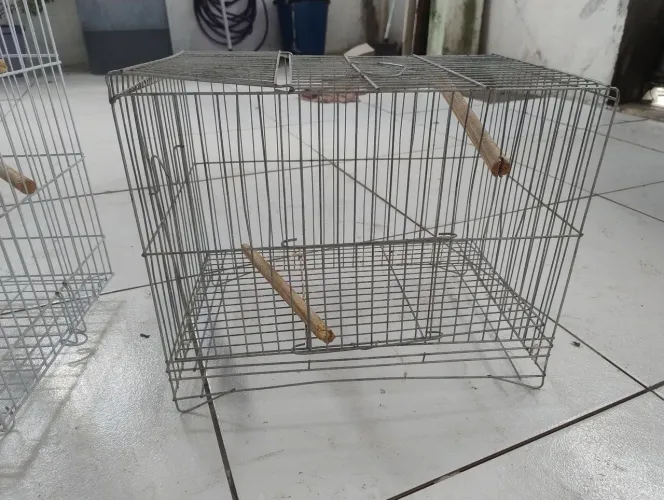 Gaiola de ferro agapone ou calopsita