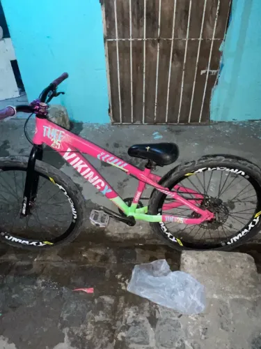 Bicicleta vikingX (grau)
