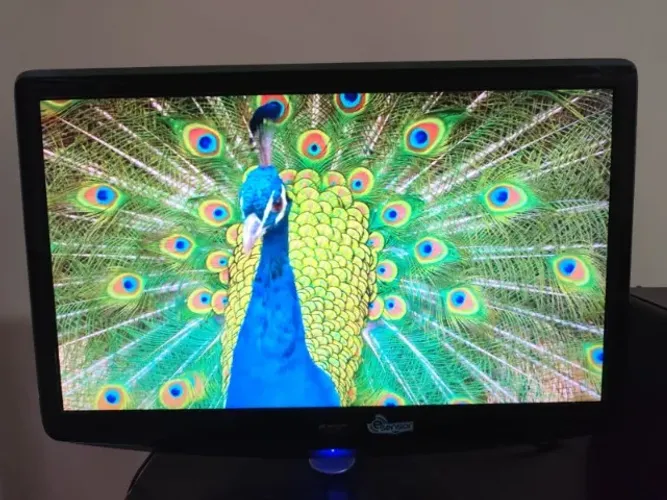 Monitor 20 polegadas