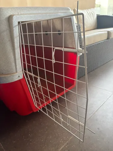 Caixa ou casa para cachorro