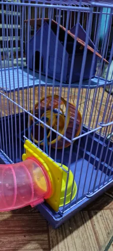 Gaiola para ramister