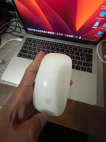 Apple mouse magic serie 1