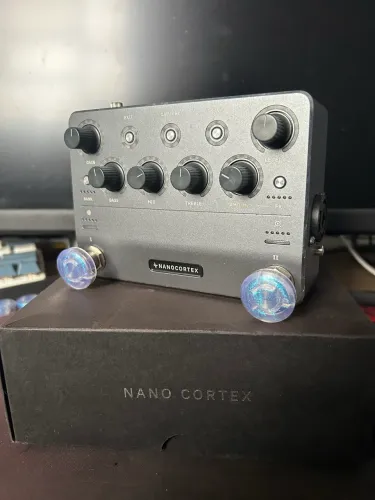Neural Nano Córtex
