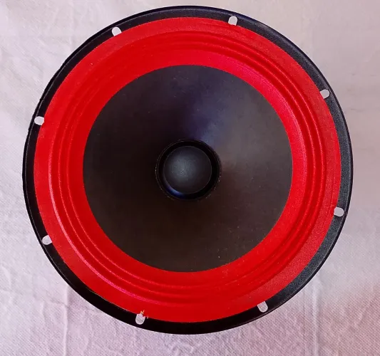 1 Alto falante 8 polegadas 3 Ohms (Retirado da caixa AMVOX GIGANTE 2)
