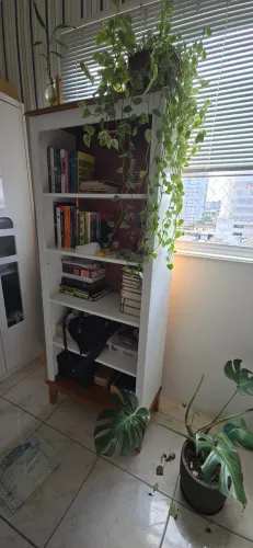 Estante de livros 