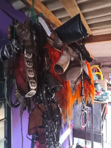 Vendo tralia de areio