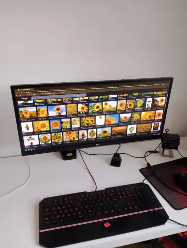 Monitor LG Ultrawide 29"