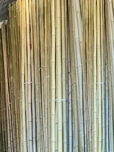 Vara de bambu pra cerca a partir  de 25,00 a unidade