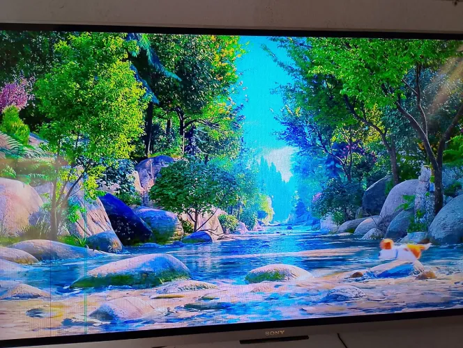 Vendo SmartTv Sony 50 polegadas 