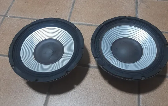 Alto falante 10 polegadas