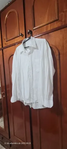 Camisas masculina 