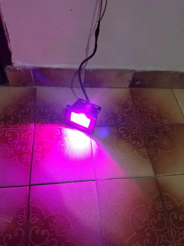 Luminária de chão e outras 9 lâmpadas pequenas