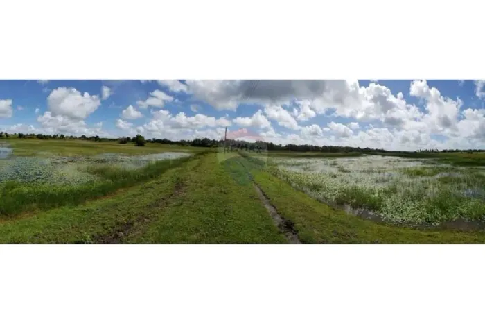 TERRENO (Fazenda em Piaçabuçu, AL - 687 ha)