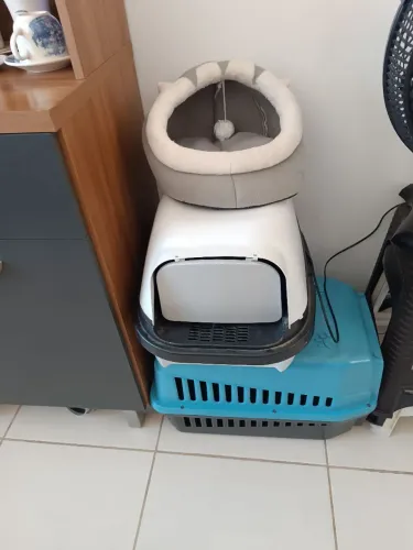 Tudo para o bem estar do seu gatinho 