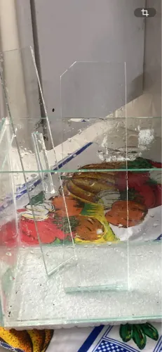 AQUÁRIO RETANGULAR, 5 LITROS