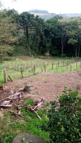Fazenda / Sítio / Chácara à venda Estrada dos Batillanas, Cascata - Porto Alegre