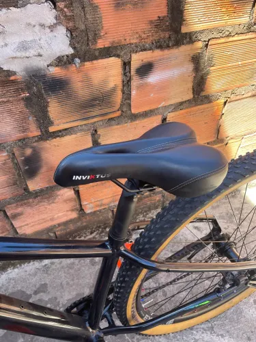 Bike aro 29 sem marcha,bike do grau