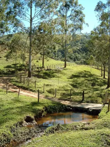 Chácara dos sonhos: 1000m² com nascente natural
